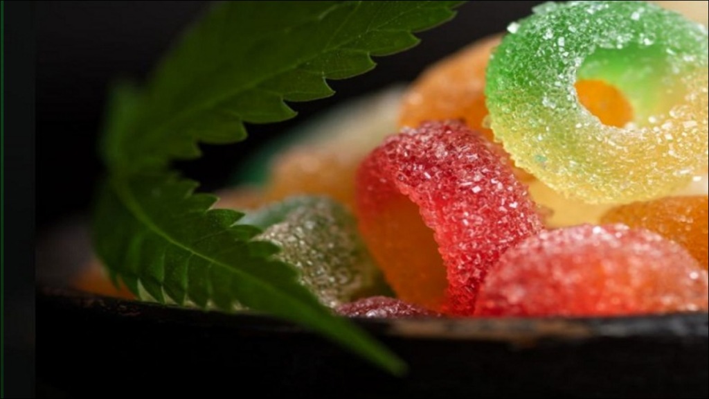 CBD Gummies and Stress Reduction: A Key to a Stronger Immune System